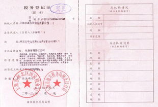 上海伏嘉 SKF与Dodge授权经销商的税务登记代理服务指南